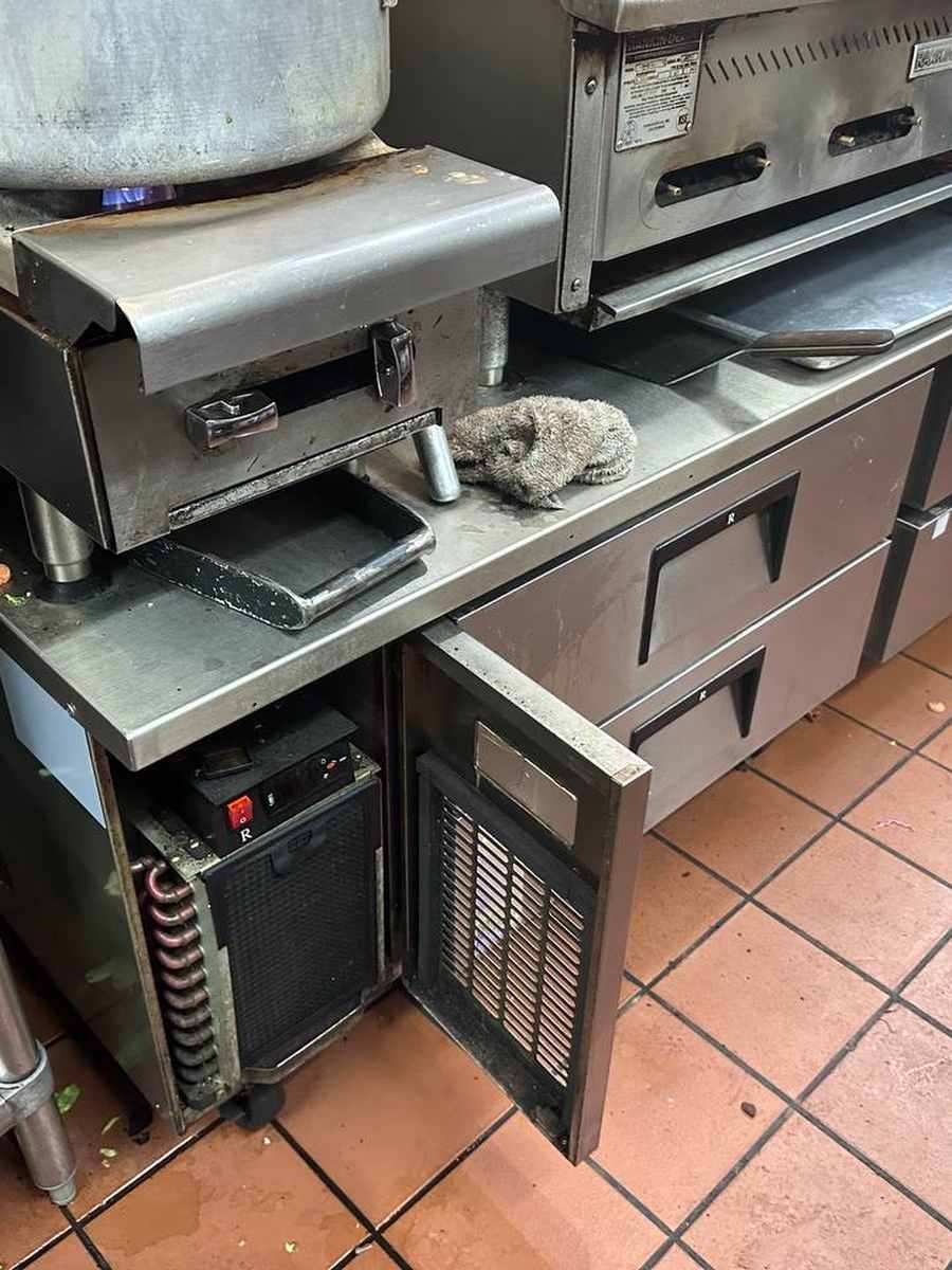 Spark Appliance Repair technician servicing a commercial cooking line in San Diego